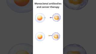 Monoclonal Antibodies and cancer therapy cancer shorts [upl. by Niehaus303]