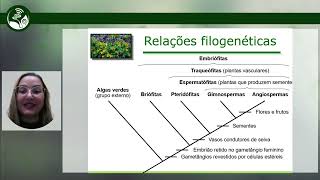 Aula 1 Fundamentos da Morfologia Vegetal mp4 [upl. by Gweneth157]