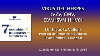 Virus herpes VZC CMV EBV HSVM HHV6 [upl. by Naamann842]