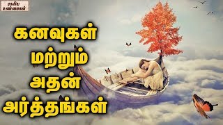 Most Common Dreams And Their Meanings  Unknown Facts Tamil [upl. by Eresed]