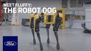 Meet Fluffy the Robot Dog  Innovation  Ford [upl. by Cioban695]