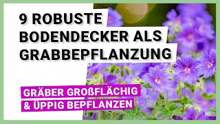 9 robuste Bodendecker für eine pflegeleichte Grabbepflanzung [upl. by Ielerol498]