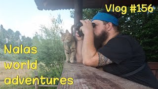 Still searching for Bison 🦬 Vlog 156 [upl. by Trant887]