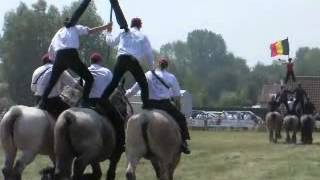 Trekpaarden festival Oostduinkerke [upl. by Briana]