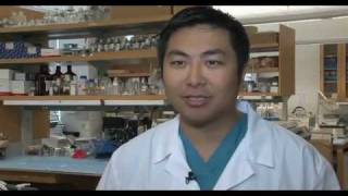 Brain Cancer Research  Glioblastoma and Glioma  UCLA Neurosurgery [upl. by Seiuqram]