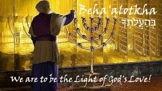 36a Behaalotcha  Dvar Torah about the MENORAH and how it is a symbol of us being the LIGHT [upl. by Roux6]