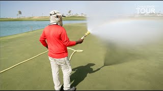 The Most Sustainable Golf Course  Saadiyat Beach Golf Club [upl. by Otilesoj477]