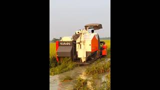 KUBOTA HADVESTAR  PRO DC68G viralvideo kalahandi sambalpurisong viralshorts tendingshorts [upl. by Miharba]