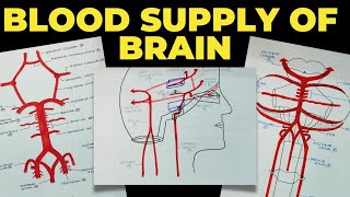 Trigeminal Nerve  1  Opthalmic Nerve  Course and Distribution [upl. by Kenay]