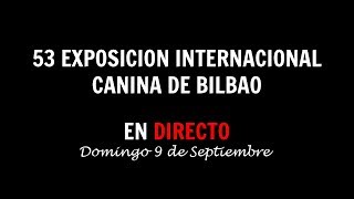 53 Exposición Internacional Canina de Bilbao [upl. by Lepley]