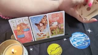 tarot Piscis septiembre 2024 [upl. by Web774]