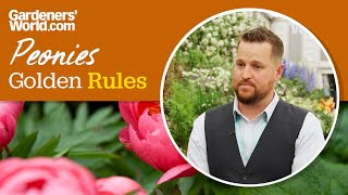 Caring for peonies  Golden Rules [upl. by Yorle902]