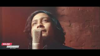 Bare Bare Ar Asha Hobena  RidoyJj  বারে বারে আর আসা হবে না  ভবা পাগলা  Extended Audio Virson [upl. by Derraj612]