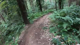 Downhill mtb Mondraker summum rr Rostrevor Bins 152 [upl. by Hessler692]