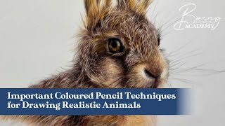 Important Coloured Pencil Techniques for Drawing Realistic Animals [upl. by Tongue]