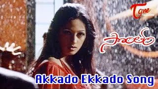 Sontham Movie Songs  Akkado Ekkado Video Song  Aryan Rajesh Namitha [upl. by Styles80]