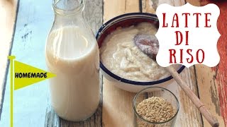 LATTE DI RISO  RICETTA VELOCE  SENZA LATTOSIO [upl. by Bigner319]