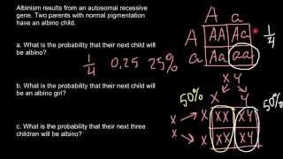 ALBINISM  clinical manifestations  Laboratory findings  treatment [upl. by Arrol292]