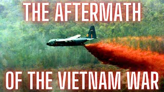 Vietnam war part III┃The aftermath [upl. by Nannie]