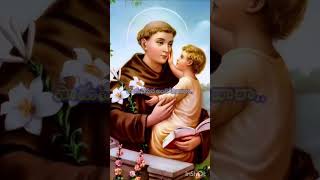 stanthonycatholic songs teluguwhatsappstatusvideo [upl. by Aelam]