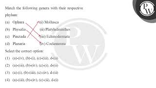 Match the following genera with their respective phylum W a Ophura i Mollusca b Physalia [upl. by Parsifal827]