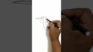 Kingfisher easy drawing art sketch viralvideo viralshorts reels trending reel drawing l [upl. by Dombrowski]