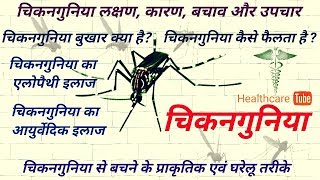 चिकनगुनिया  चिकनगुनिया लक्षण कारण बचाव उपचार Chikungunya Symptoms Treatment amp Prevention in Hindi [upl. by Ainsworth]