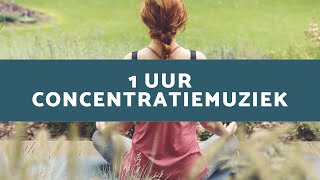 Inspiratiemuziek Concentratiemuziek voor Deepwork en Focus [upl. by Qahsi]