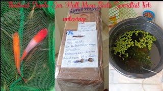 Thailand Dumbo Ear Half Moon Beeta and Swordtail Fish unboxing  Swordtail Fish Breeding Tub setup [upl. by Serafine361]