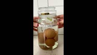 Salted eggs  鹹蛋 How to make salted eggs at home  2 week recipe [upl. by Nitsu]