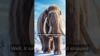 Not All Woolly Mammoths Are Woolly 🐘❄️ The Chilling Truth Revealed [upl. by Haldis]