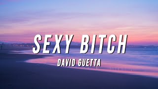 david guetta  sexy bitch TikTok Remix Lyrics [upl. by Mapel]