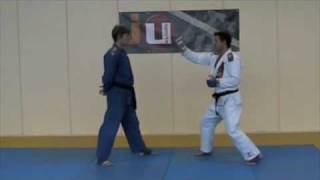 Lesson 2  Gyaku Tsuki Atemi Fighting  JiuJitsu Fighting Lesson JJIF Basics Part 1 [upl. by Euseibbob391]