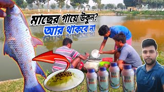 কিভাবে মাছের উকুন Argules দূর করা যায় কোন ওষধ ভালো how to clean your fish body from parasites [upl. by Eimat581]