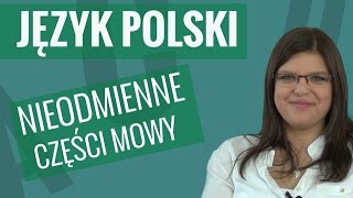 Język polski  Nieodmienne części mowy [upl. by Nedearb297]