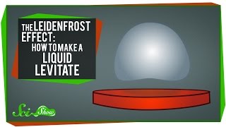 The Leidenfrost Effect How to Make a Liquid Levitate [upl. by Rayford]