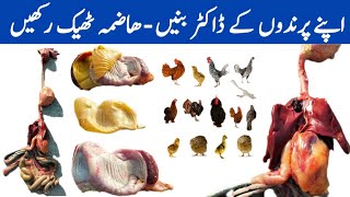 The Poultry Digestive System  Learn and Earn Through Poultry Farming  Part 02  Dr ARSHAD [upl. by Ahsiekar]