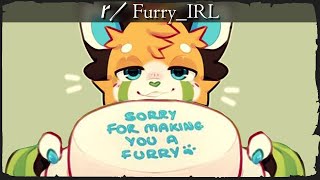 rFurryIRL  SORRY [upl. by Ardnuyek]