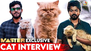 பூனைக்கு கூட Audition பண்ணி இருக்காங்க Master cat interview  Thalapathy vijay Lokesh Kanagaraj [upl. by Areic114]