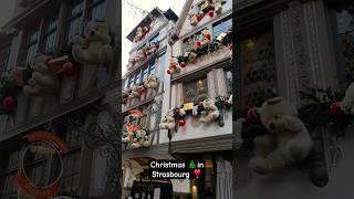 Christmas 🎄 Decorations in Strasbourg ❣️ christmas travel christmasmood shorts strasbourg [upl. by Calabresi]