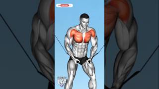 3 Best Cable Chest Workout fitness chest viralvideo motivation shorts india up deadpool [upl. by Oigufer]