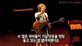 데미안 라이스  Amie 에 관한 이야기Damien Rice  The story about Amie [upl. by Iuq482]