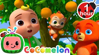 Grow Grow Grow Your Oranges  1 hour CoComelon Animal Time  Learning with Animals  Nursery Rhymes [upl. by Nojed]