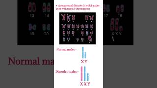 Klinefilter syndrome  Symptoms chromosomal disorderXXY male chromosomes shorts klinefelter [upl. by Luaped]