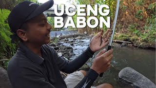 MANCING UCENG BABON SPOT DI BAWAH JEMBATAN KADISOKA [upl. by Karalynn820]