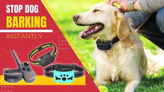 Best Dog Shock Collar For Barking  Stop Barking Efficiently amp Quickly [upl. by Akimahs]