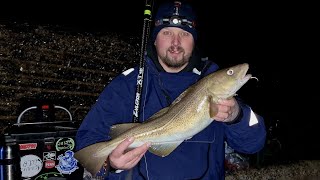 Sea Fishing For Winter Cod At Cowbar Jetty In Staithes [upl. by Wildee919]