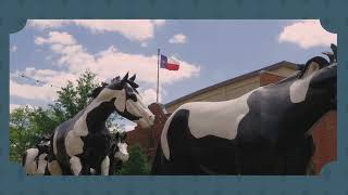 Hotel Drover in the Fort Worth Stockyards [upl. by Baggett]