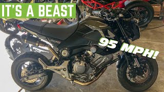 Whats It Like To RIDE A 300CC Swapped HONDA GROM [upl. by Letty50]