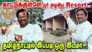 தமிழ்நாட்டில் இப்படி ஓர் இடமா  Best Jungle homestay in Tamilnadu  Thendral [upl. by Eenwat]